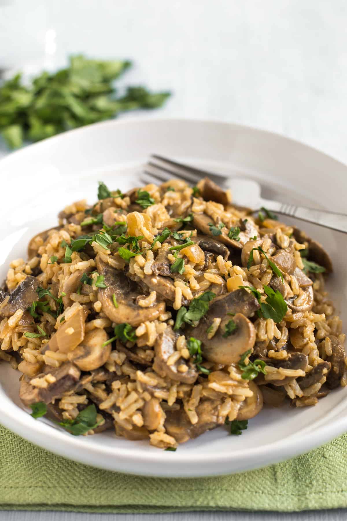 Portion of creamy mushroom stroganoff mixed with rice in a bowl