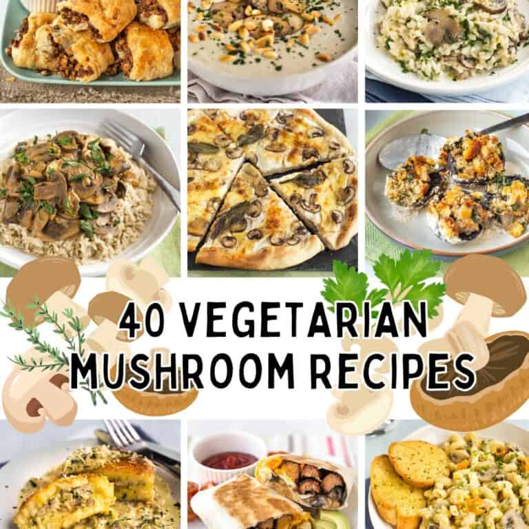 Collage showing vegetarian mushroom recipes with text overlay.