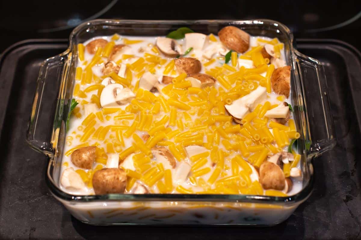 Uncooked pasta and mushrooms in a baking dish with milk.