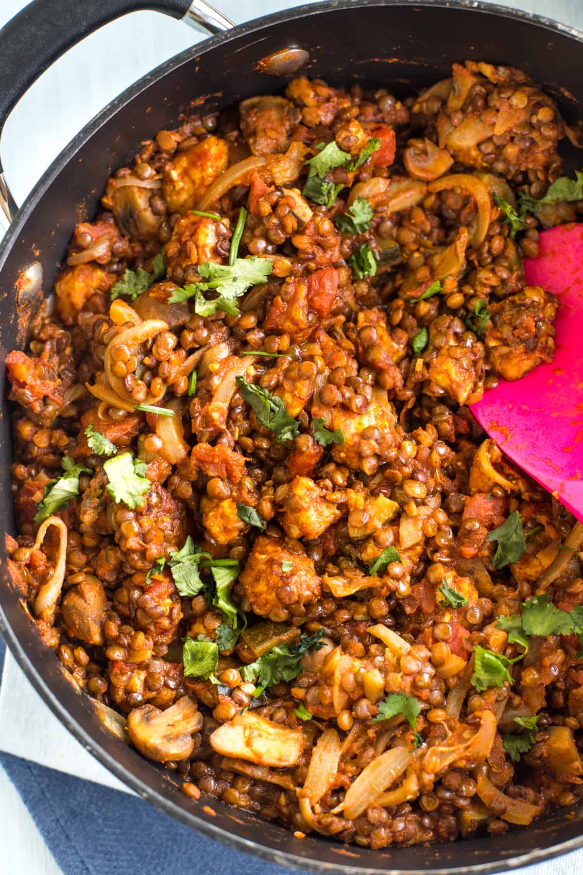Close-up shot of lentil and halloumi curry in a pan topped with cilantro