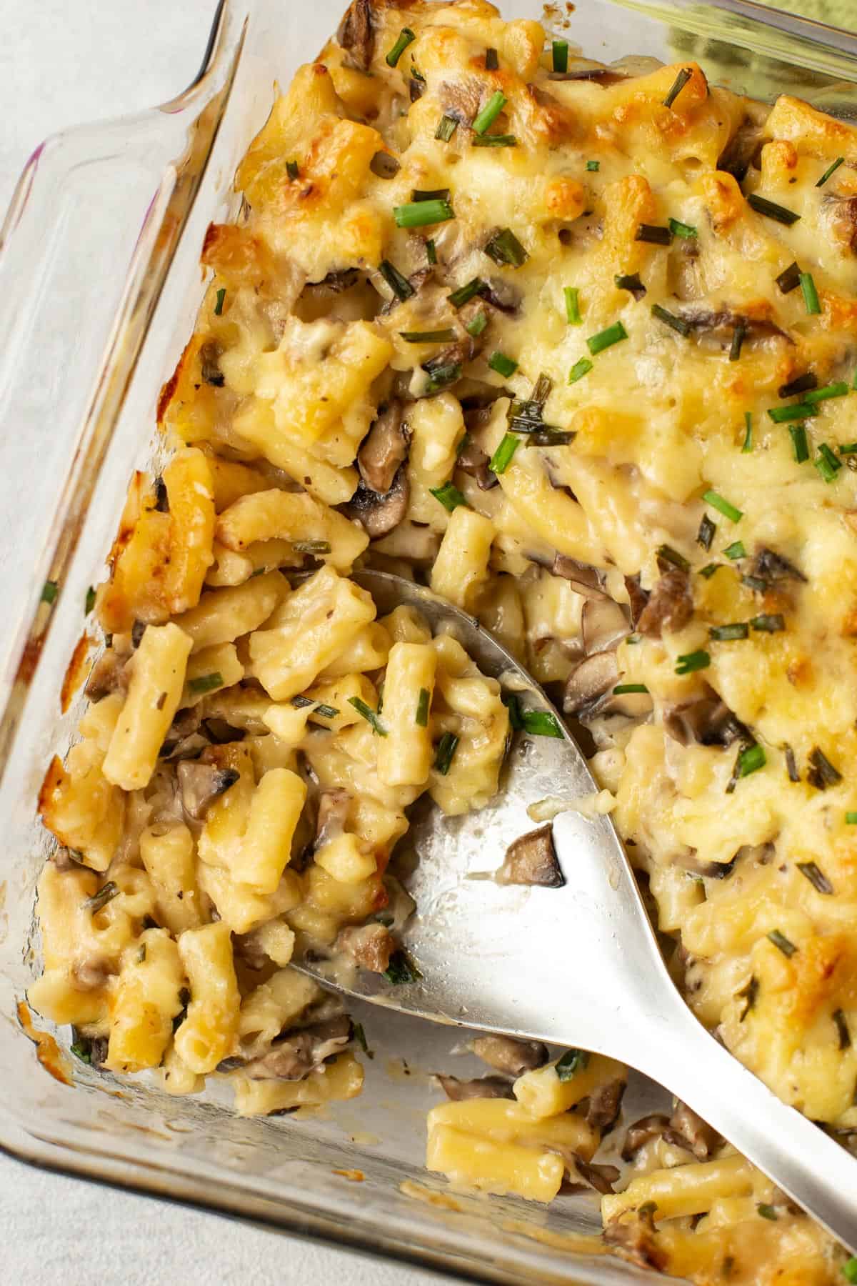 A baking dish of garlic mushroom mac and cheese being scooped with a large spoon.