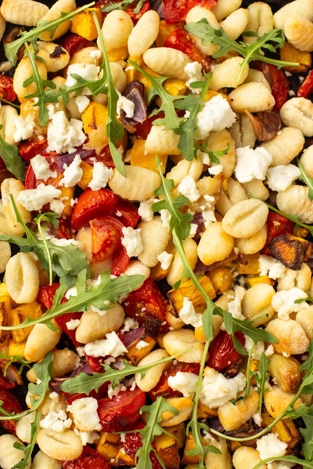 Close up shot of roasted gnocchi, tomatoes, pumpkin and feta cheese.
